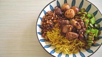 dried egg noodle with pork and meatball - Thai noodles style video