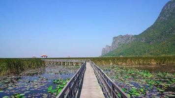 bella passeggiata in legno alla palude d'acqua dolce di sam roi yot o al parco nazionale di bueng bua khao sam roi yot in tailandia video