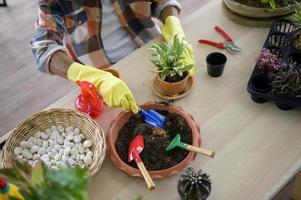Senior man is planting with gardening tools on wooden floor, hobby and leisure concept photo