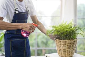 close up of happy senior asian retired man spraying and watering tree  enjoys leisure activity at home photo