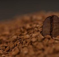 one coffee bean in granulated coffee photo