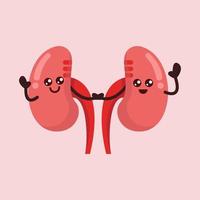 Cute kidney mascot vector