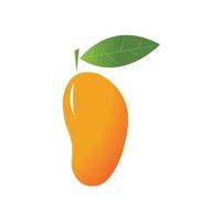 Diseño de ilustración de icono de vector de fruta de mango