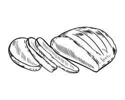 Hand sketch wheat bread vector illustration