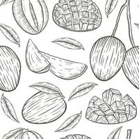 Sketch mango seamless pattern vector illustration