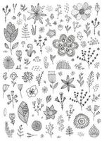 Vector set of hand drawn doodle flowers, florals, leaves. Line drawing. Graphic collection with fantasy field herbs.