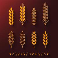 Set of wheat ears for bakery or bread and pastry designs vector