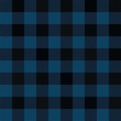 blue flannel shirt seamless pattern ready for your print clothing