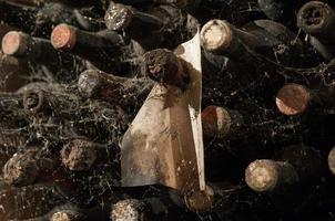 a lot of old wine bottles in the web in the wine cellar photo