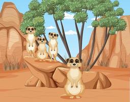 Desert background with a group of meerkats vector