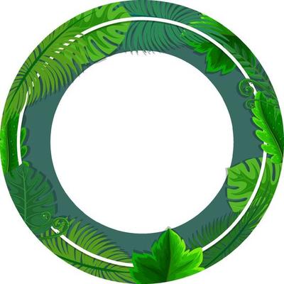 Round frame with tropical green leaves