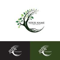 tree logo designs vector