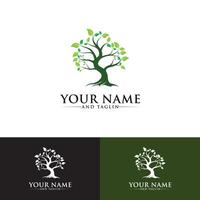 tree logo designs vector