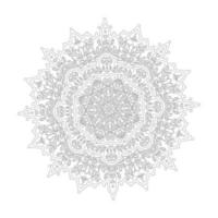 Mandala background hand drawn circle dekor vector