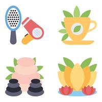 Spa and Beauty Flat Icons vector