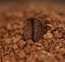one coffee bean in granulated coffee photo