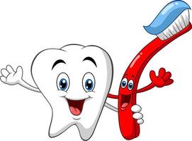Dental Tooth and Toothbrush cartoon character vector