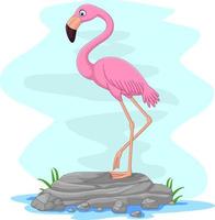 Cartoon flamingo standing on the rock vector