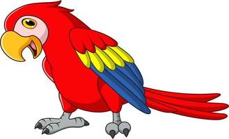 Cartoon funny macaw isolated on white background vector