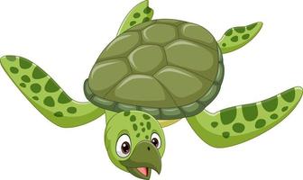 Cartoon sea turtle on white background vector