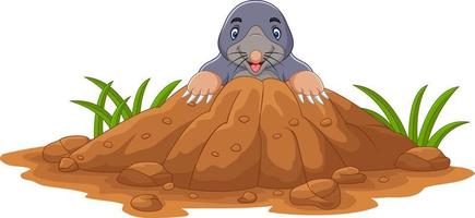 Cartoon mole come out of the hole vector