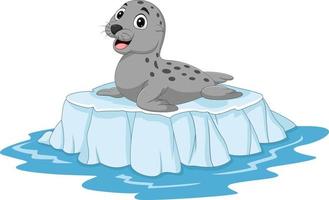 Cartoon seal on ice floe vector