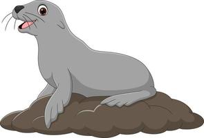 Cartoon funny seal on white background vector