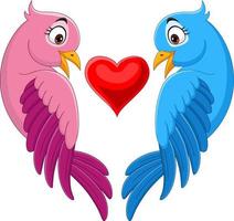 Cartoon couple of bird in pink and blue with heart shape vector