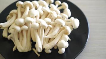 fresh white beech mushroom or white reishi mushroom on plate video