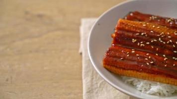 Japanese eel grilled with rice bowl or Unagi don - Japanese food style video
