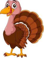 Cartoon turkey on white background vector