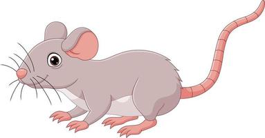 Cartoon cute mouse on white background vector