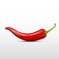 Realistic Chili Pepper, Vector illustration on isolated white background