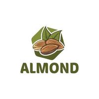 almonds with green leaves, vintage logo a mix of hexagons with plants, VECTOR ILLUSTRATION