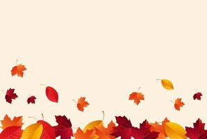 Autumn background with falling autumn leaves vector