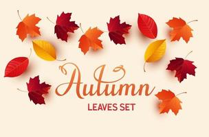 Set of colorful autumn leaves vector