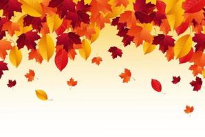 Autumn background with falling autumn leaves vector
