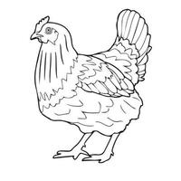 arte lineal de pollo vector