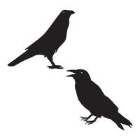 pájaros negros de pie vector