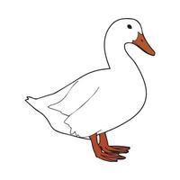 Duck Art Vector