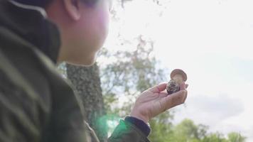 Close up Asian woman holding a mushroom in her hand in forest, standing and looking at mushroom on her hand, going out in a forest on the weekend. Being in the beautiful nature video