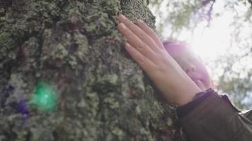 Asian woman and holding and touching the tree trunk in the forest. A woman hand touches a pine tree trunk close up glare. hand tree touch trunk. bark wood with sunlight
