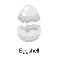 Trendy Eggshell Concepts vector