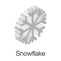 Trendy Snowflake Concepts vector