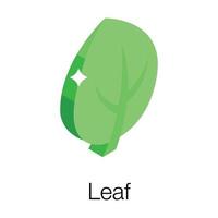 Poplar Leaf Concepts vector