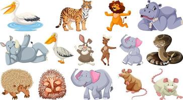 Set of different wild animals cartoon characters vector