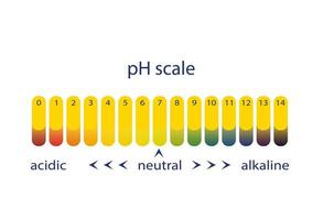 Acidity scale of litmus indicator paper, on white background. vector