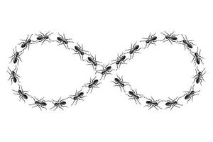 Ants walk on the infinity shape sign.Figure made of insects. vector