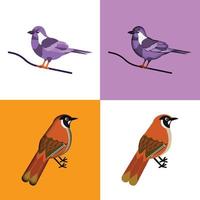 cartoon exotic bird in trendy craft paper graphic style Vector illustration