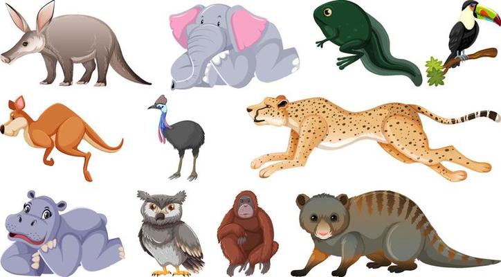 Set of different wild animals cartoon characters